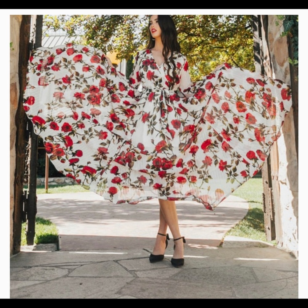 Ivy City Rosemary maxi dress